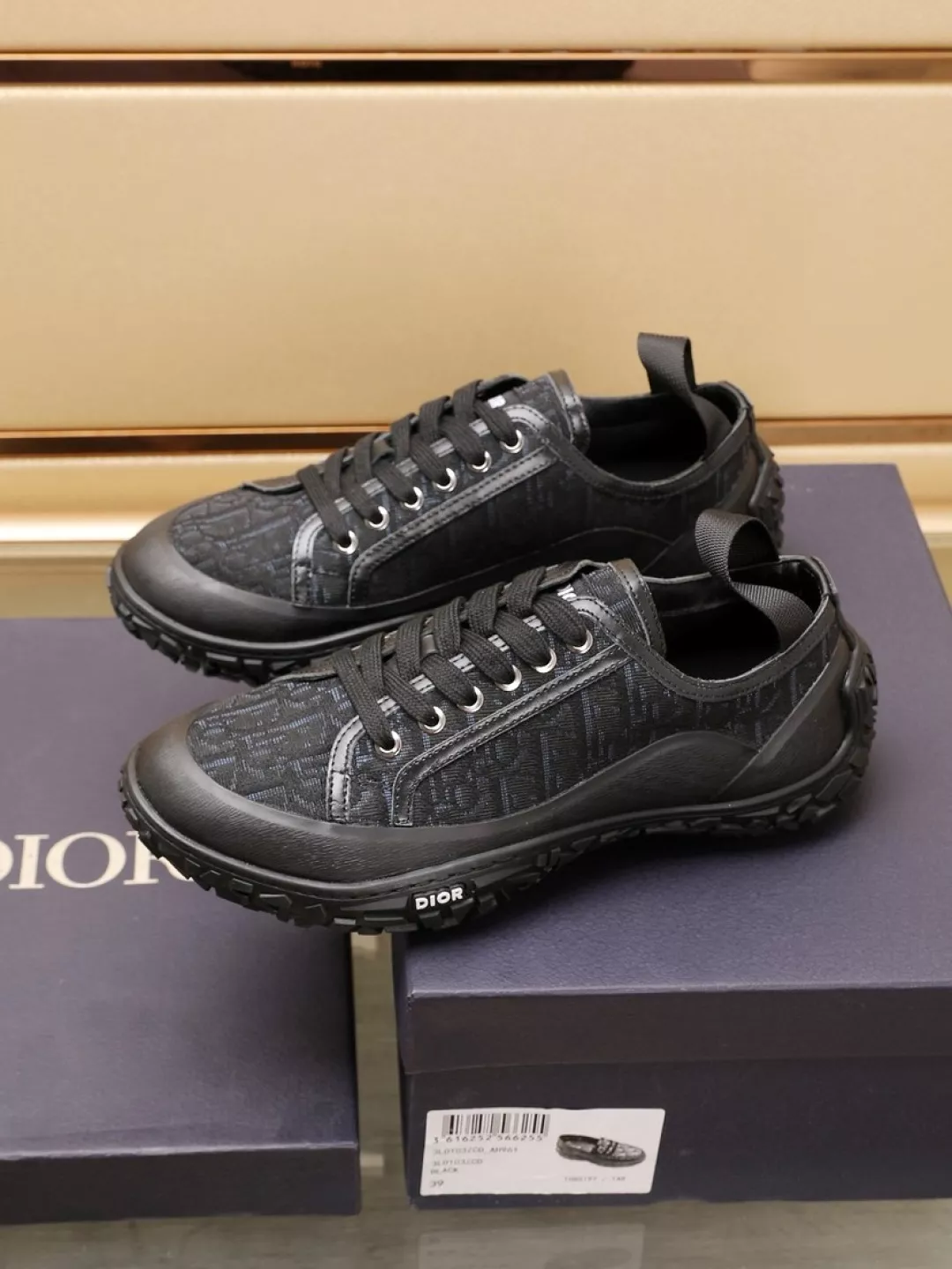 Christian Dior Casual Shoes For Men Resilient 4660