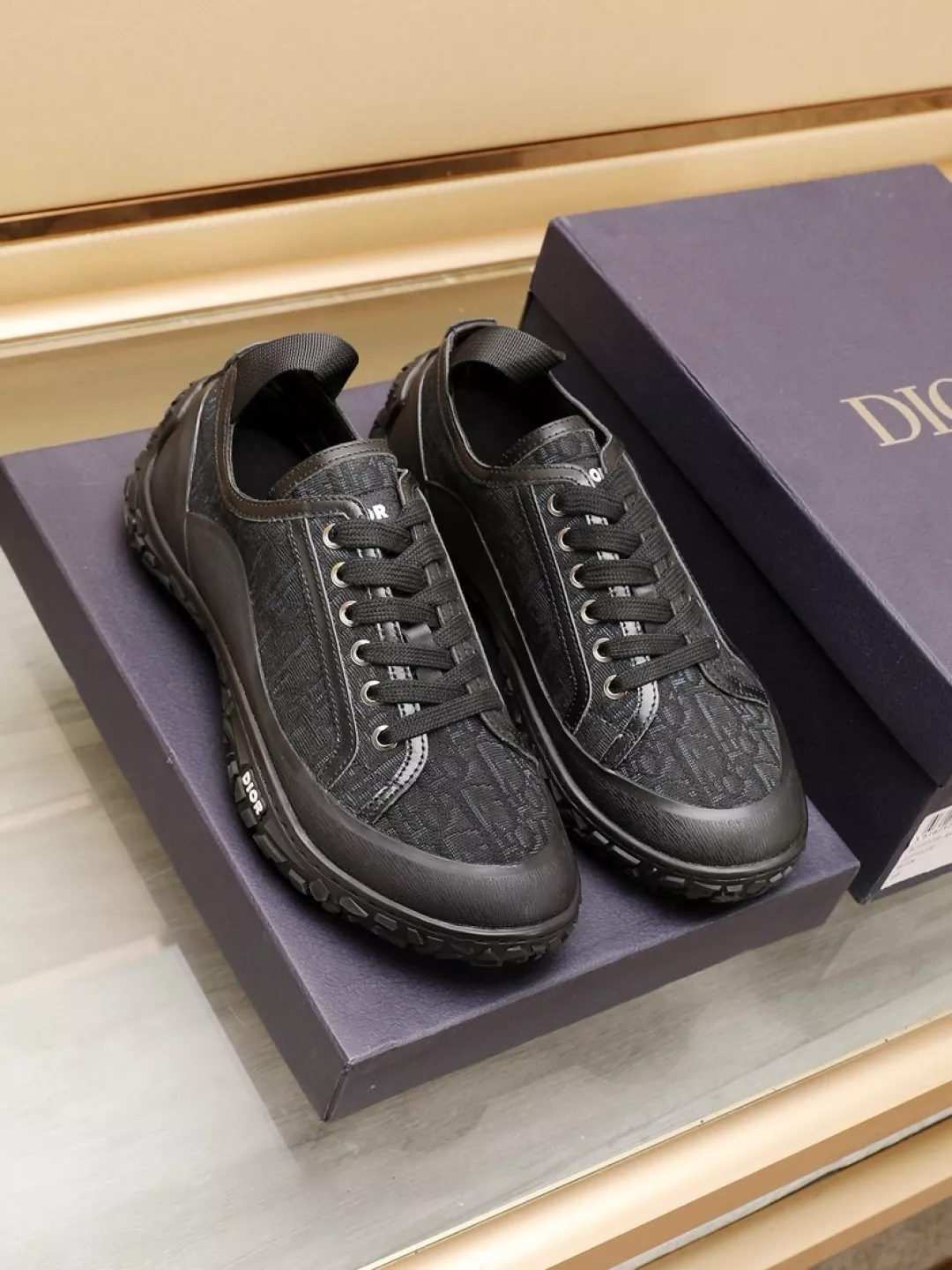 Christian Dior Casual Shoes For Men Resilient 4660