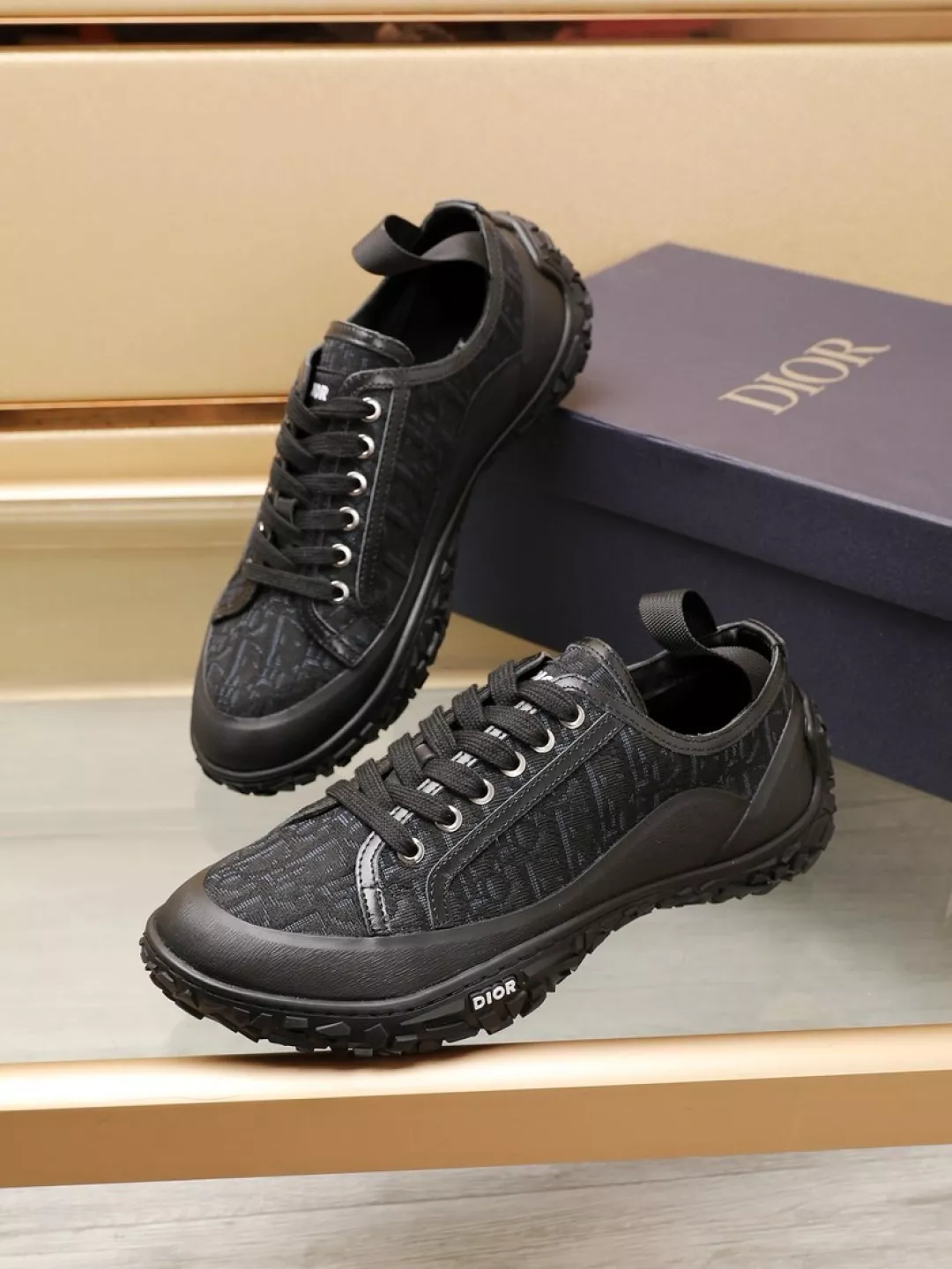 Christian Dior Casual Shoes For Men Resilient 4660