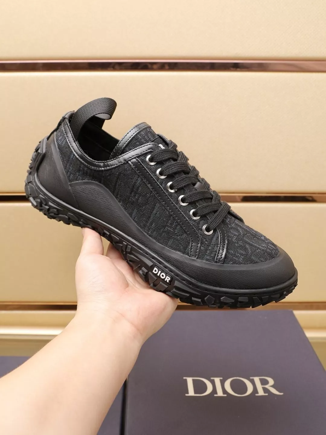 Christian Dior Casual Shoes For Men Resilient 4660