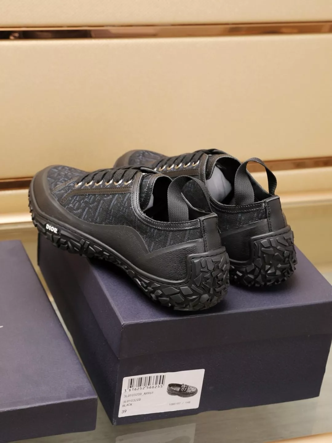 Christian Dior Casual Shoes For Men Resilient 4660