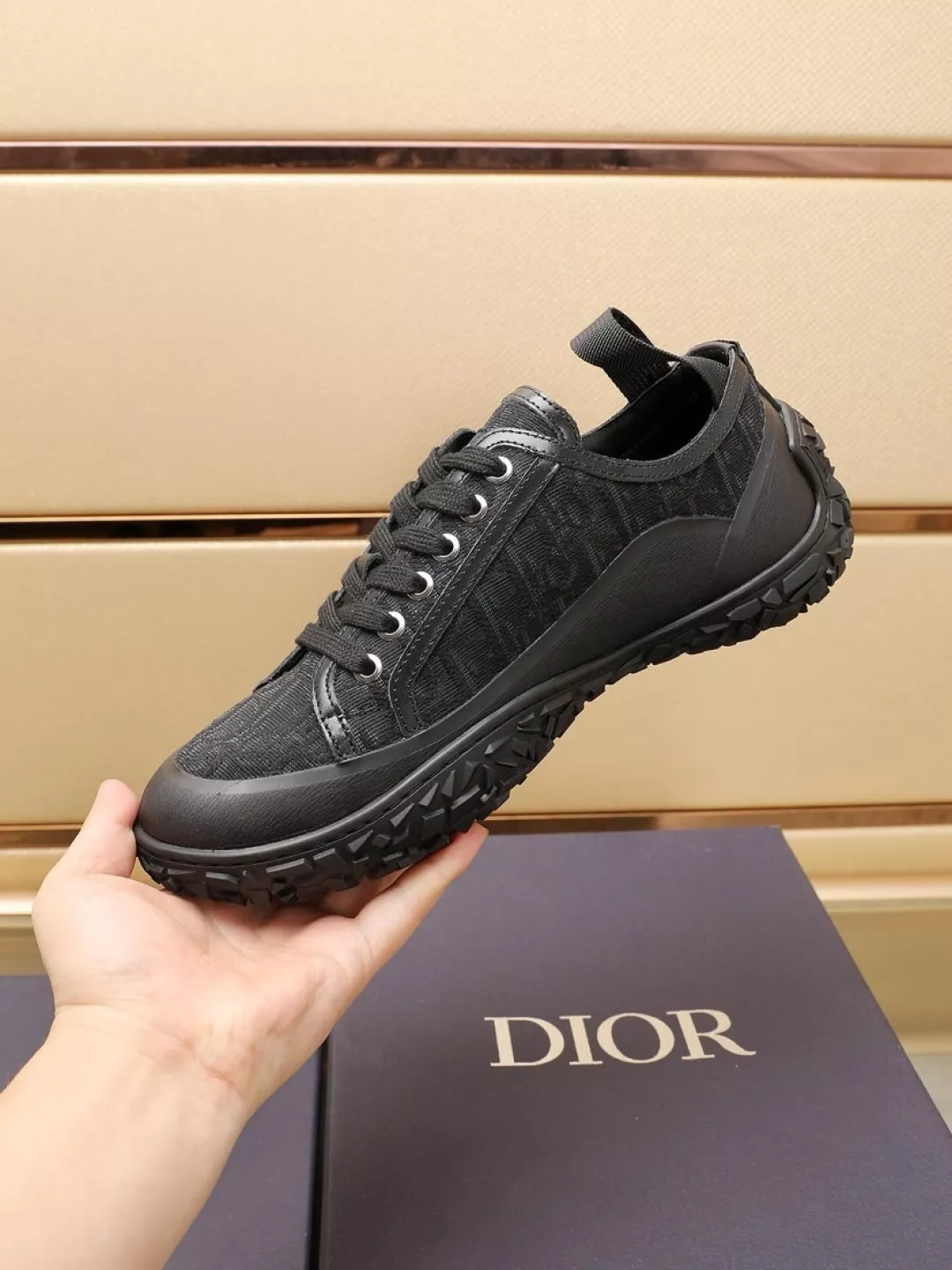 Christian Dior Casual Shoes For Men Resilient 4660