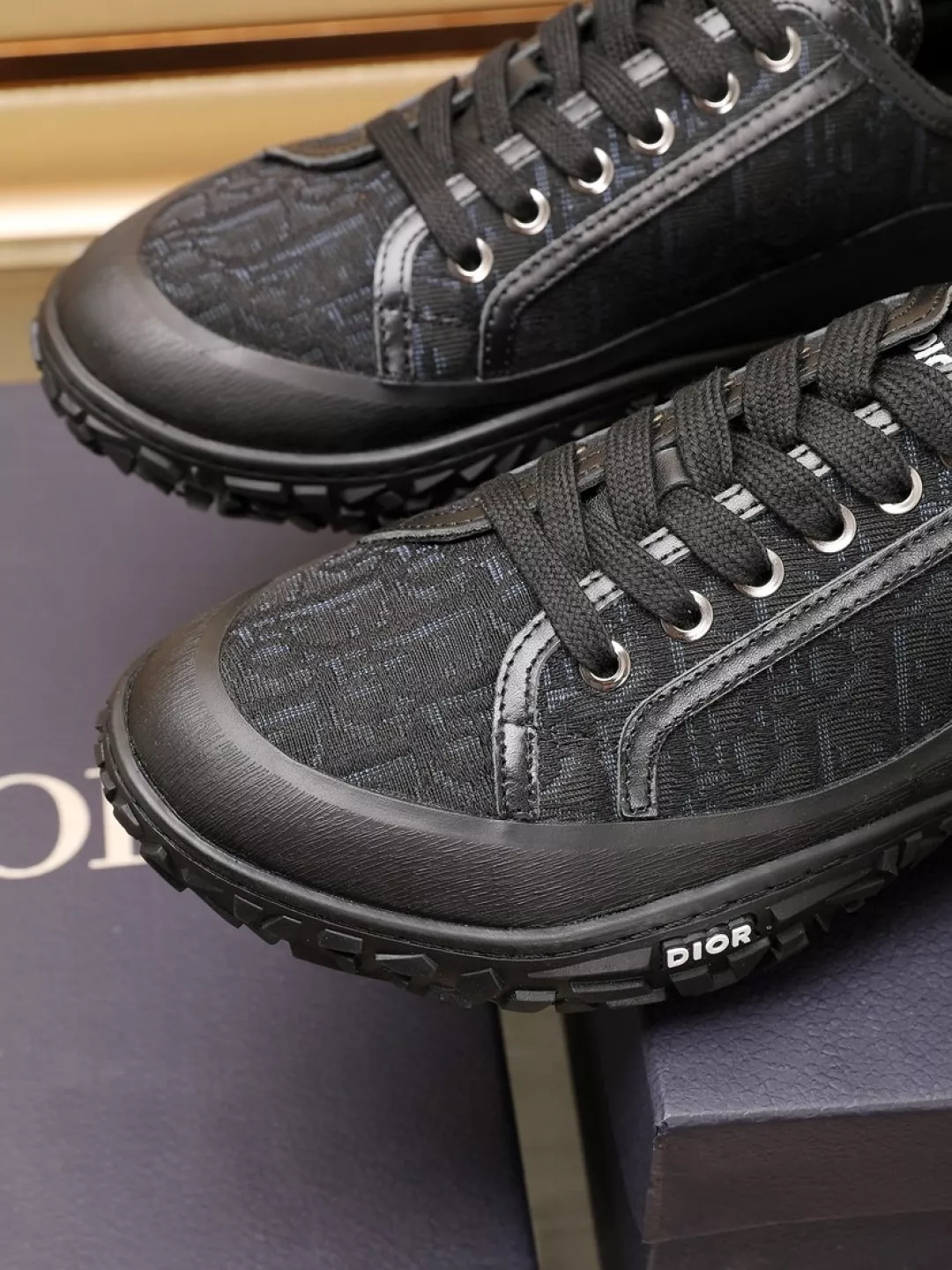 Christian Dior Casual Shoes For Men Resilient 4660