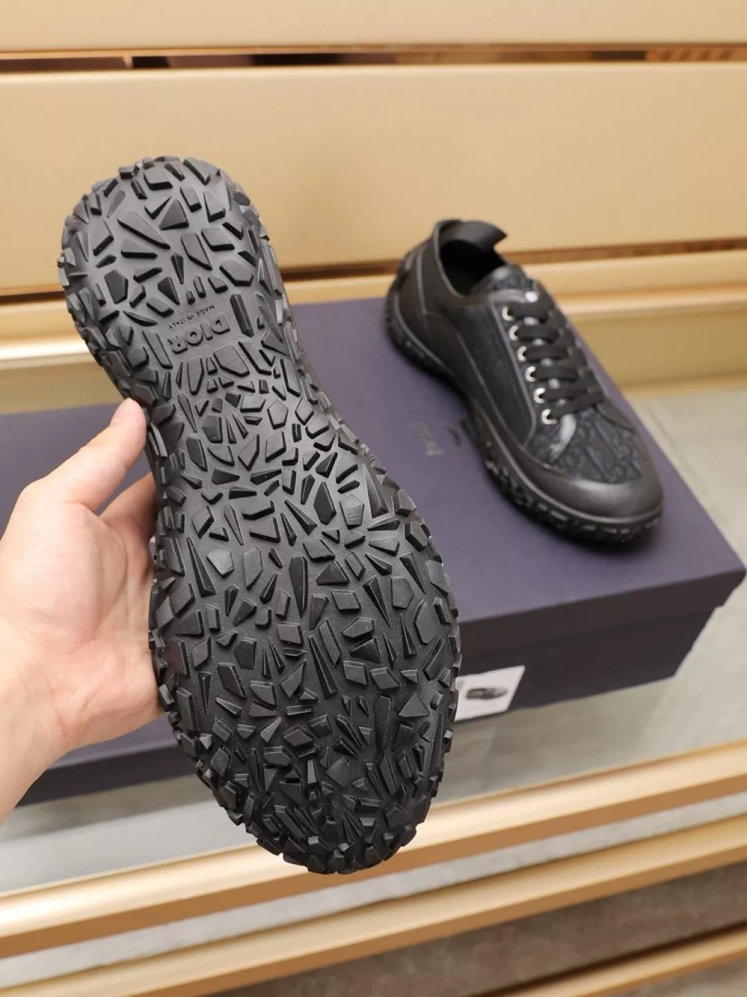 Christian Dior Casual Shoes For Men Resilient 4660