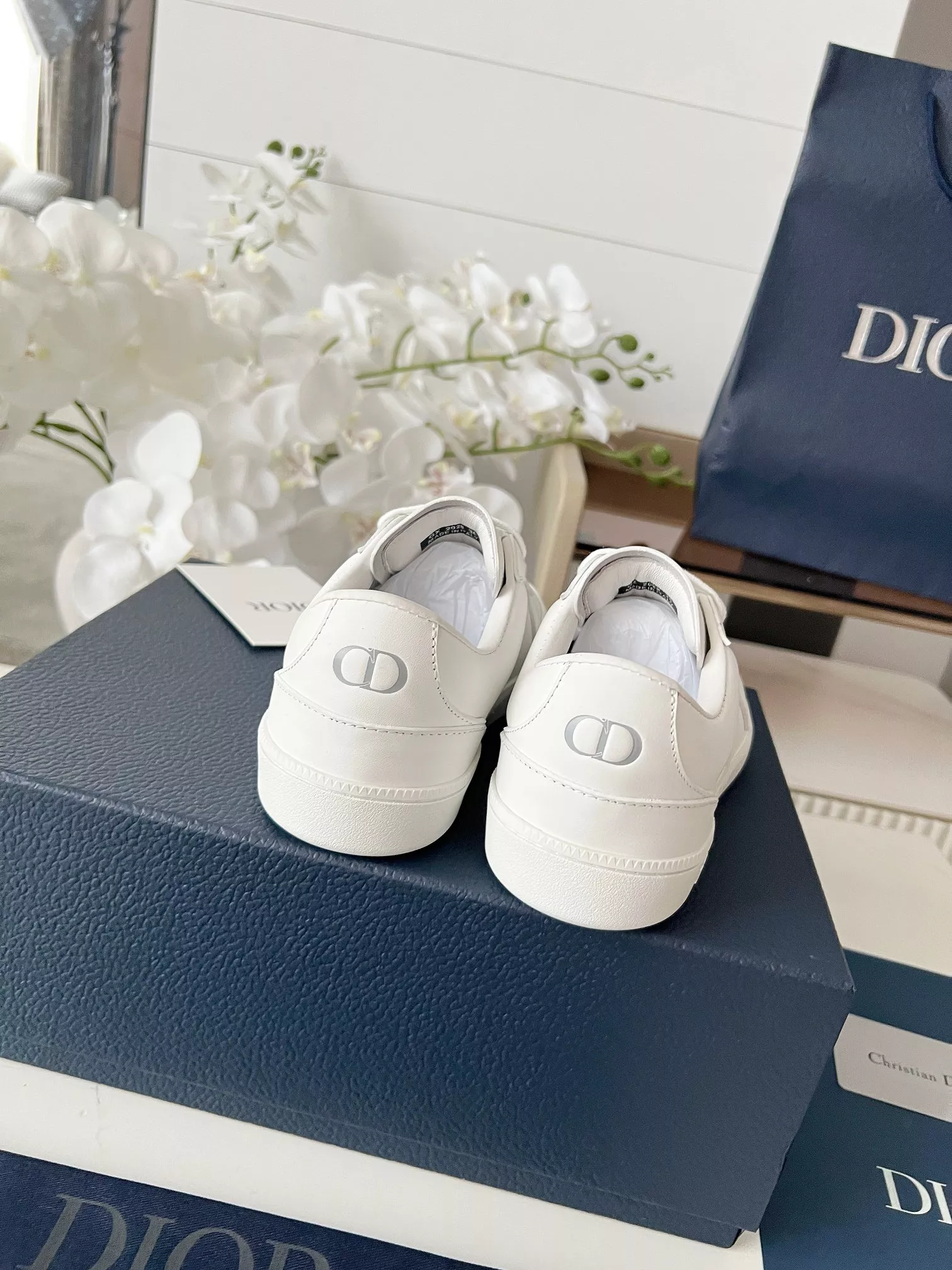 Christian Dior Casual Shoes For Men Versatile 3009