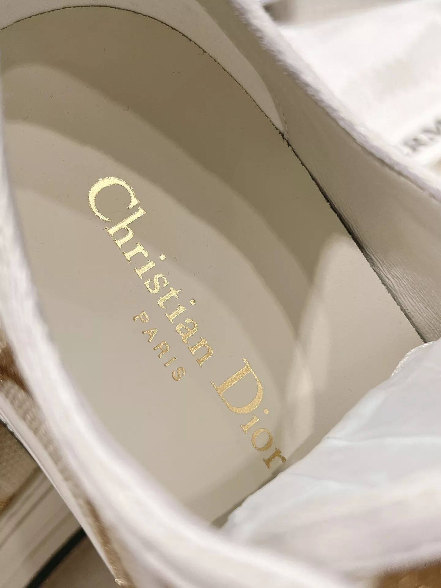 Christian Dior Casual Shoes For Women Affordable 5009