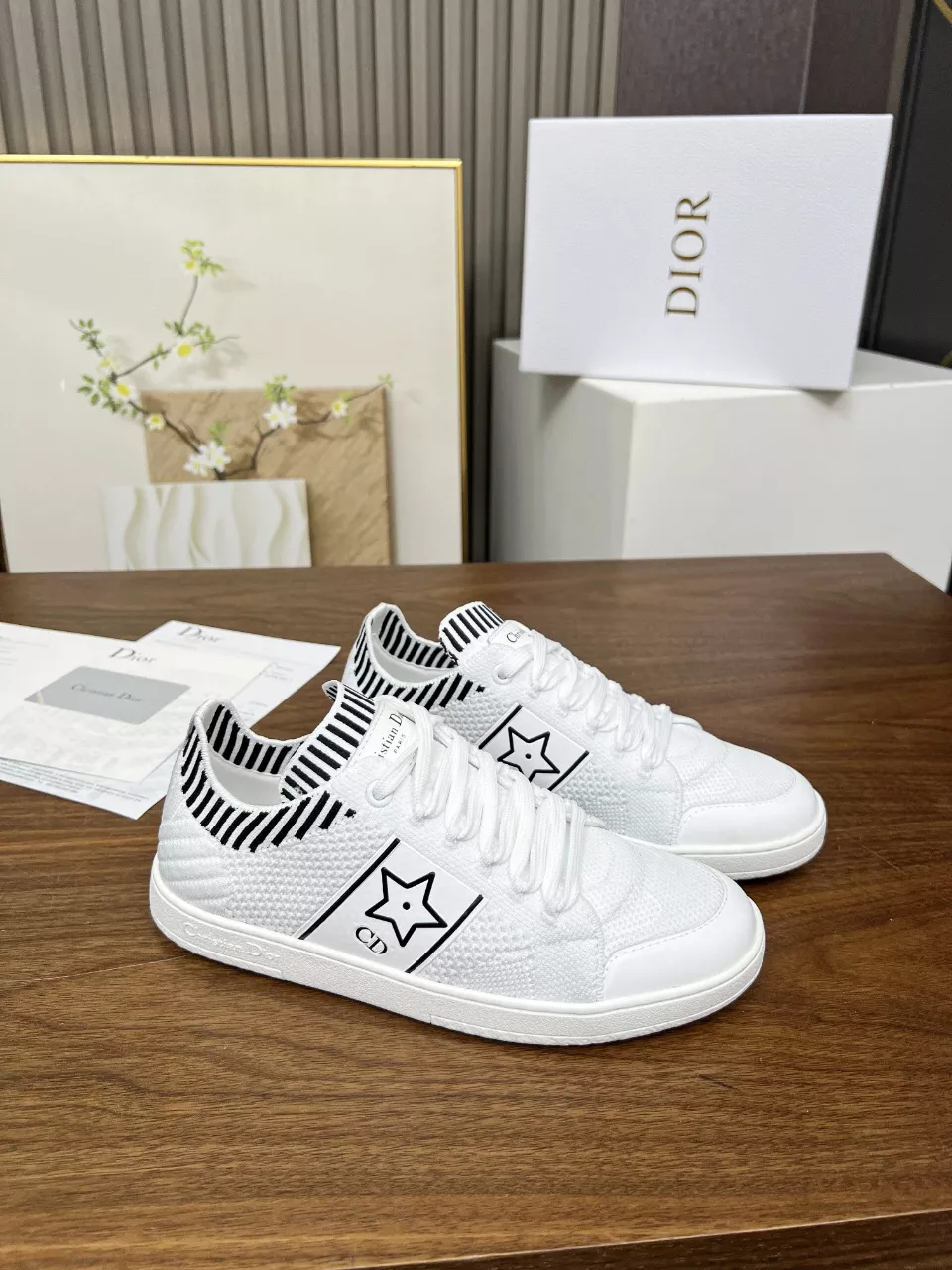 Christian Dior Casual Shoes For Women Lightweight 1538