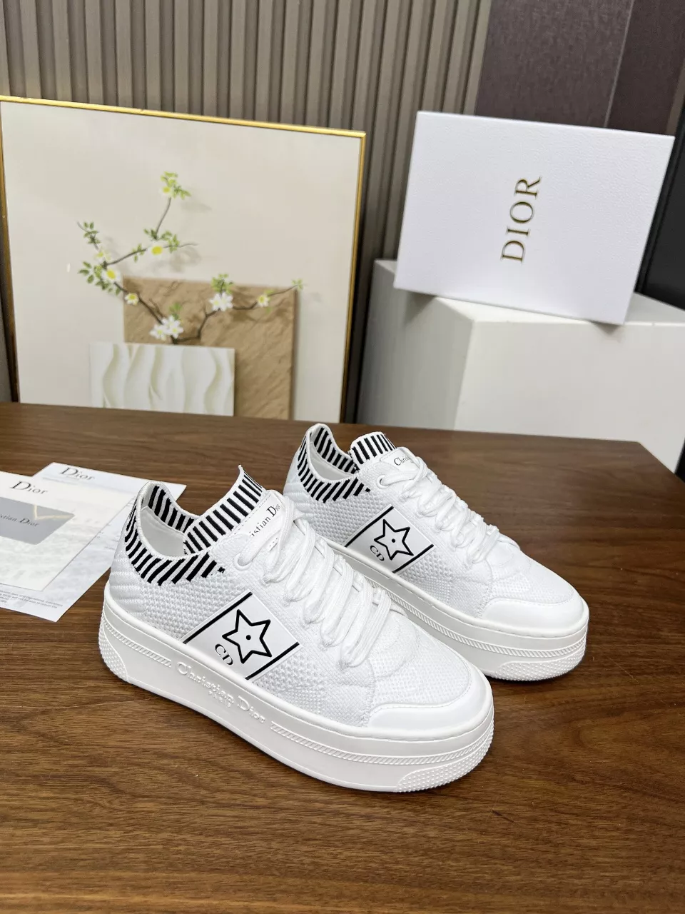 Christian Dior Casual Shoes For Women Popular 9435