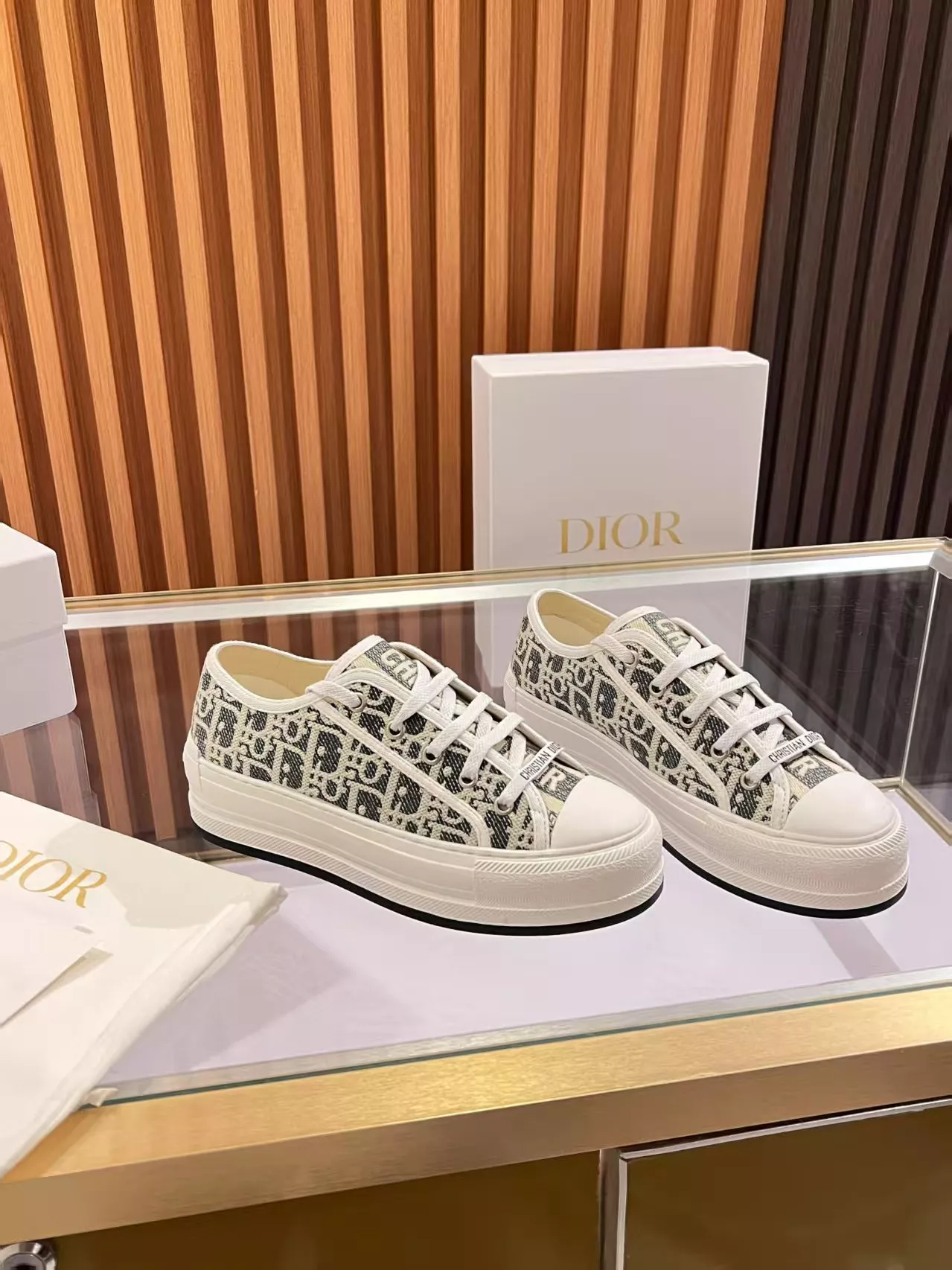 Christian Dior Casual Shoes For Women Vibrant 828