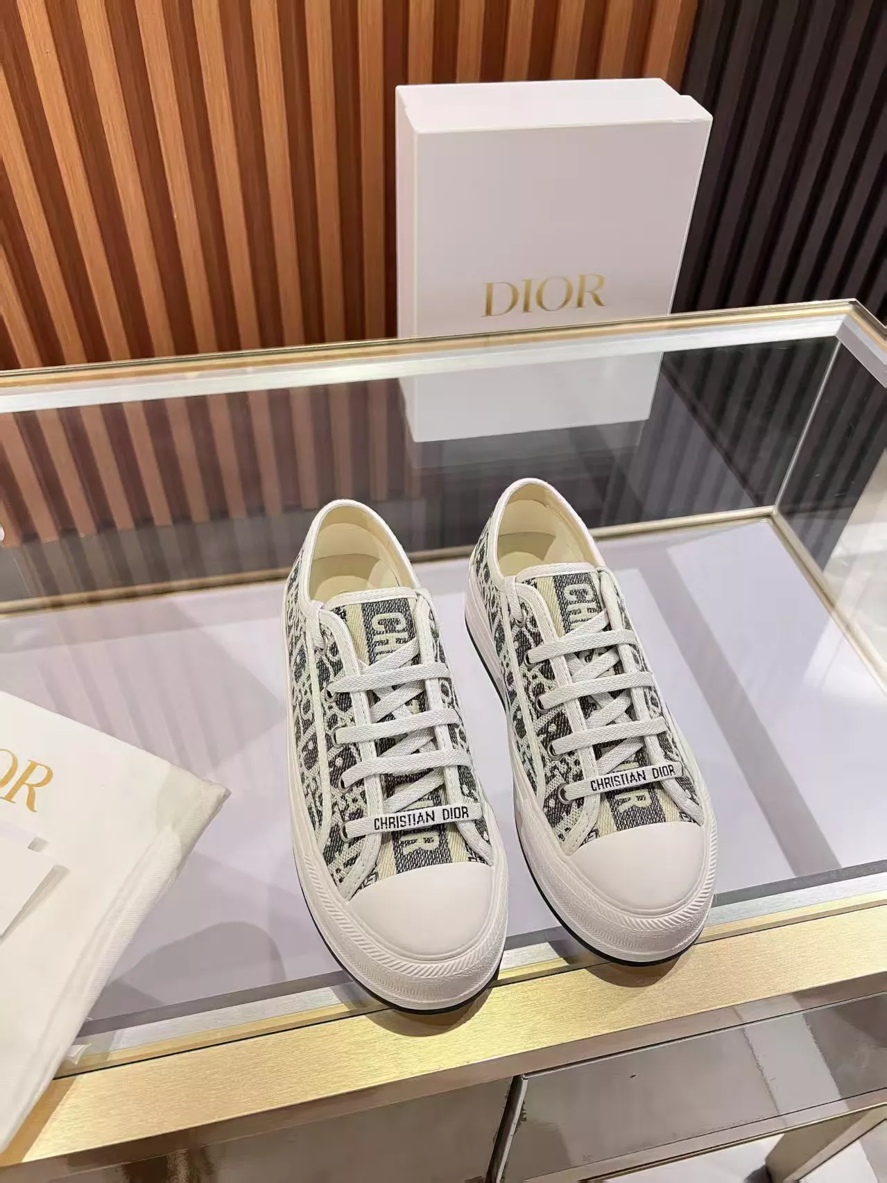 Christian Dior Casual Shoes For Women Vibrant 828