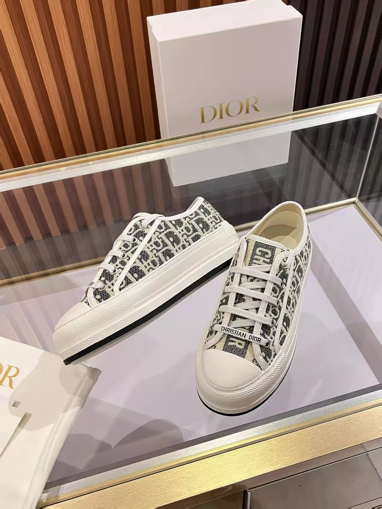 Christian Dior Casual Shoes For Women Vibrant 828
