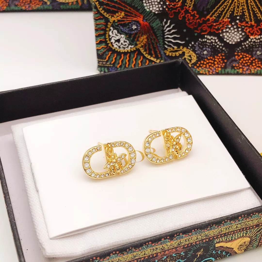 Christian Dior Earrings For Women Affordable 581