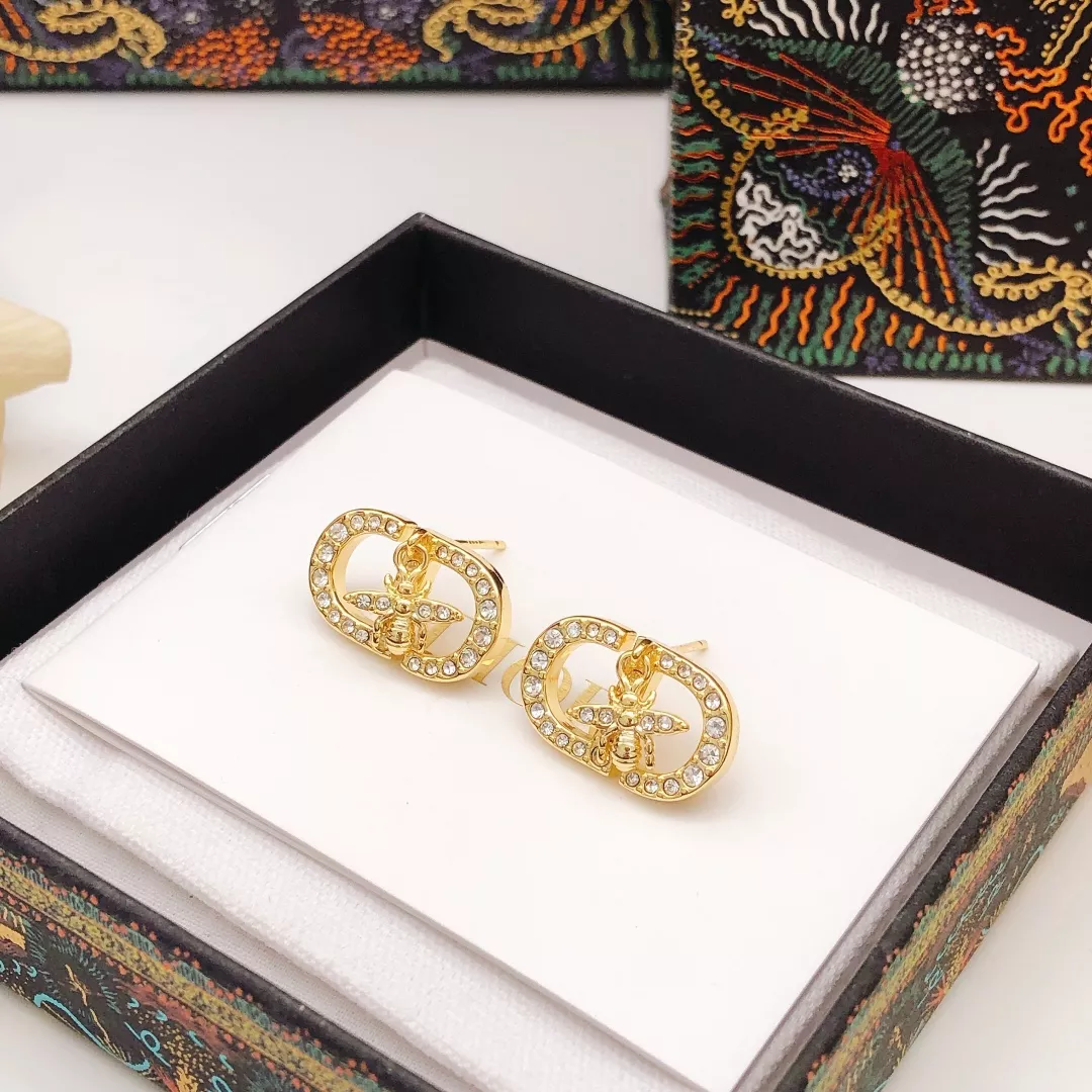 Christian Dior Earrings For Women Affordable 581