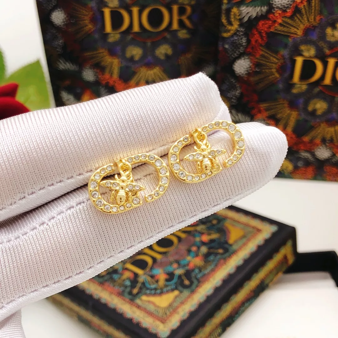 Christian Dior Earrings For Women Affordable 581