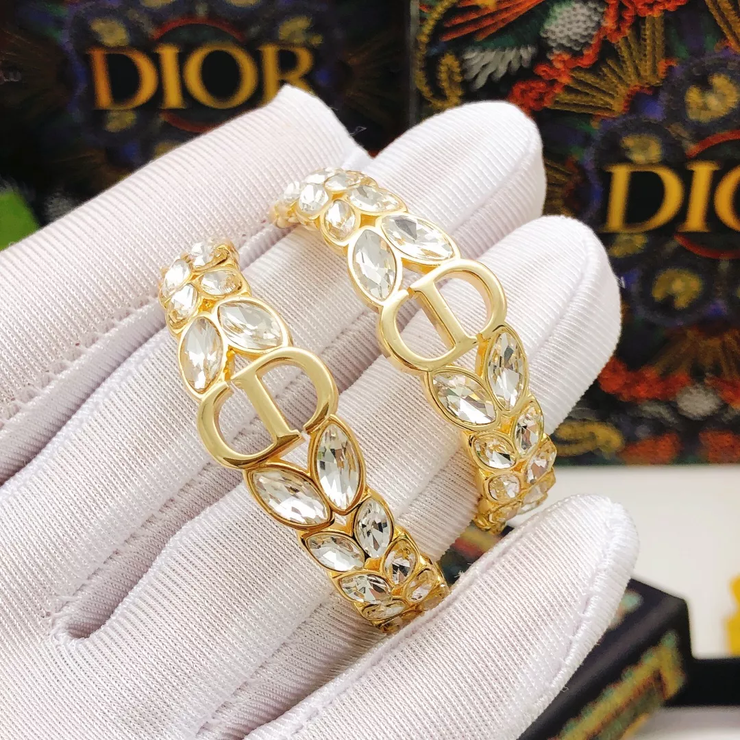 Christian Dior Earrings For Women AllSeason 4366