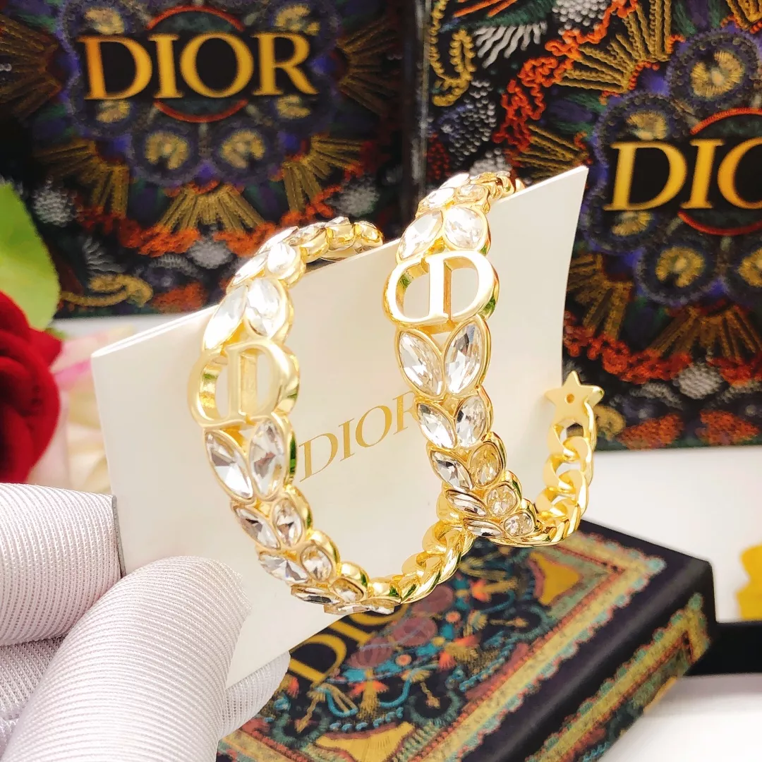 Christian Dior Earrings For Women AllSeason 4366
