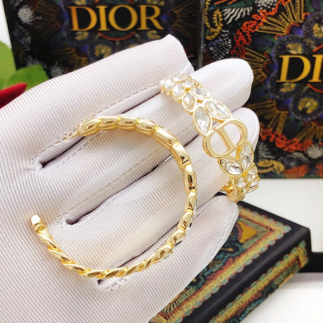 Christian Dior Earrings For Women AllSeason 4366