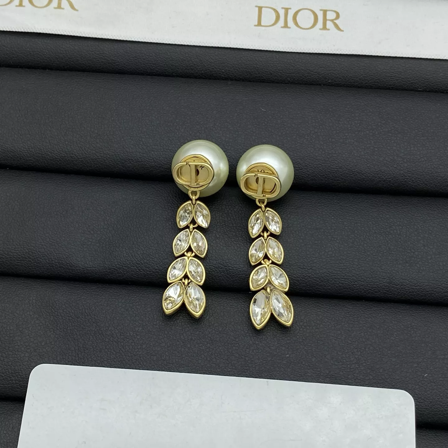 Christian Dior Earrings For Women EyeCatching 464