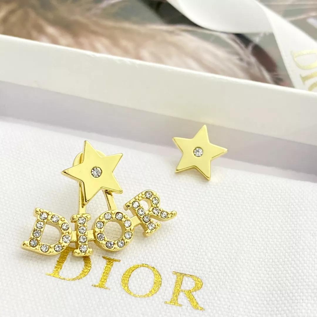 Christian Dior Earrings For Women Fashionable 9786
