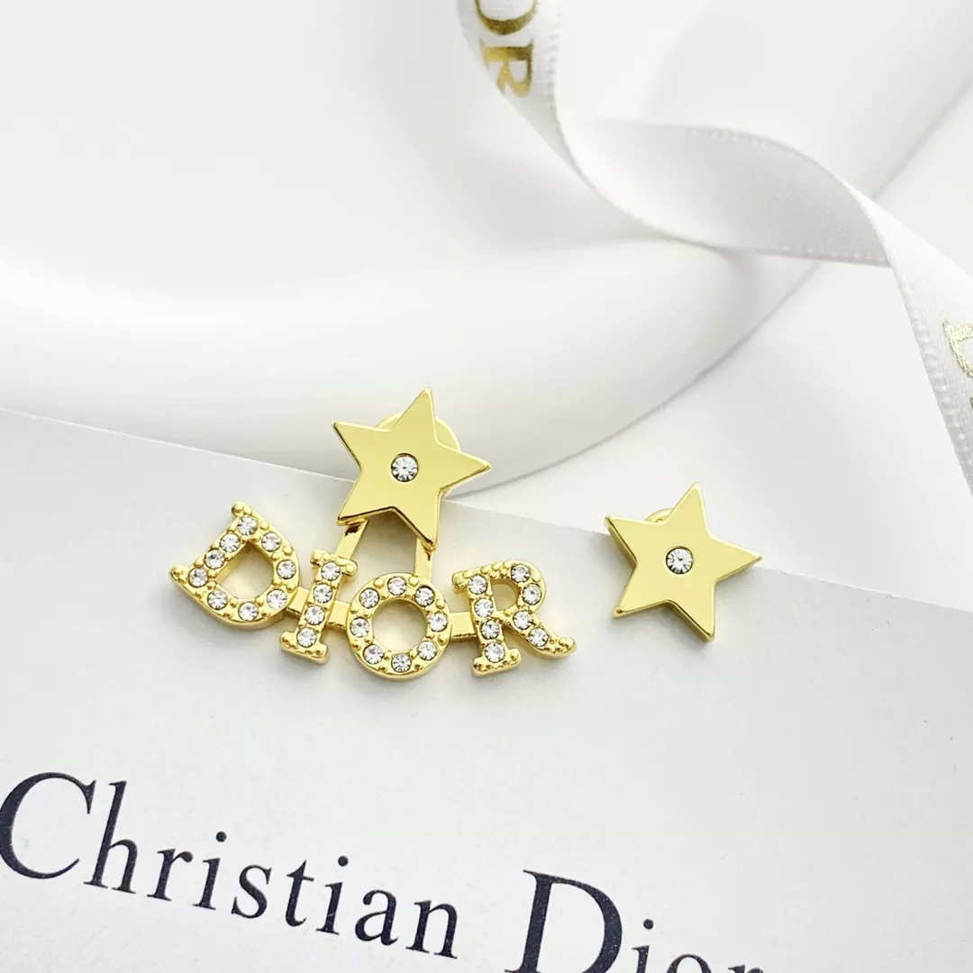 Christian Dior Earrings For Women Fashionable 9786