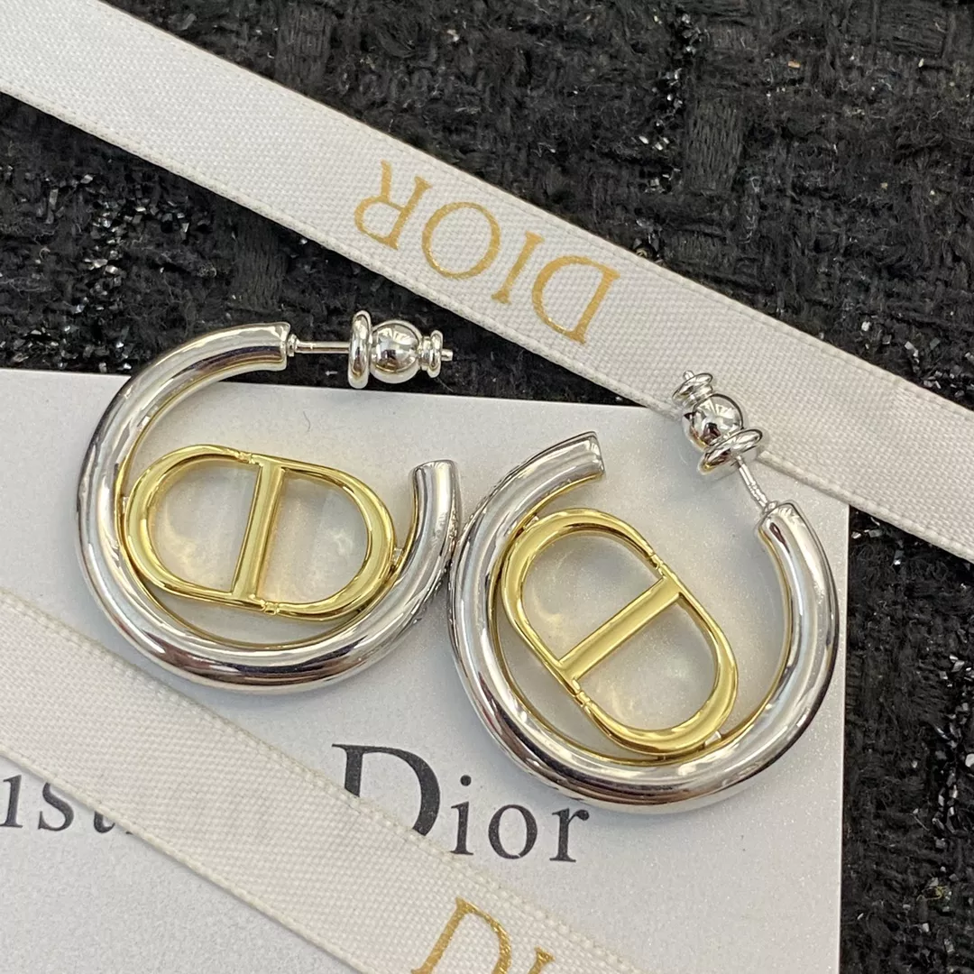 Christian Dior Earrings For Women GoodFit 1302