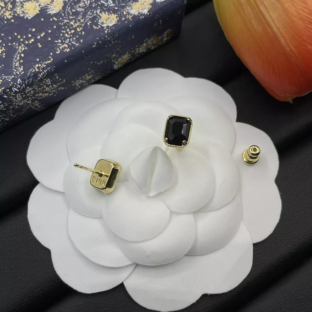 Christian Dior Earrings For Women NewStyle 913