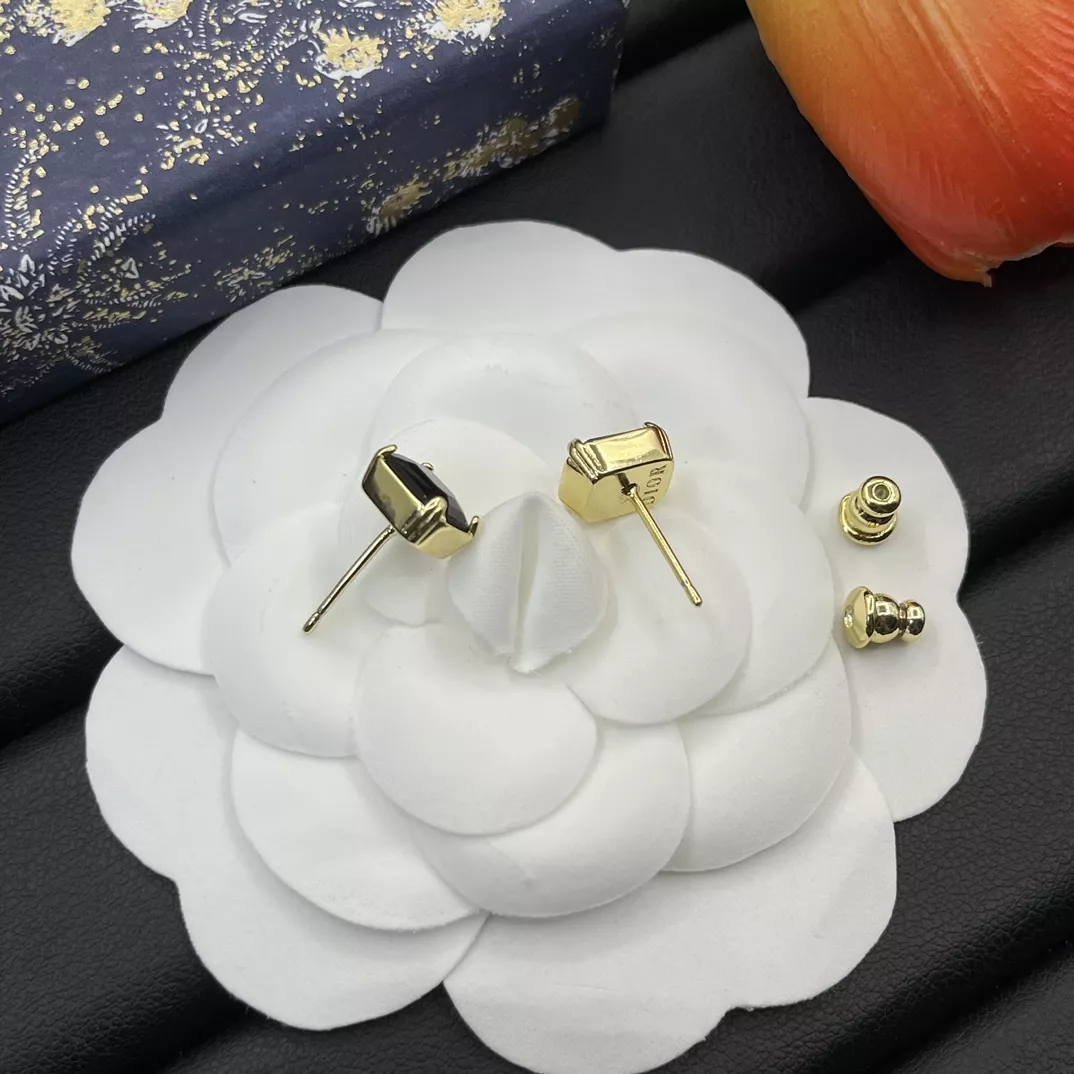 Christian Dior Earrings For Women NewStyle 913