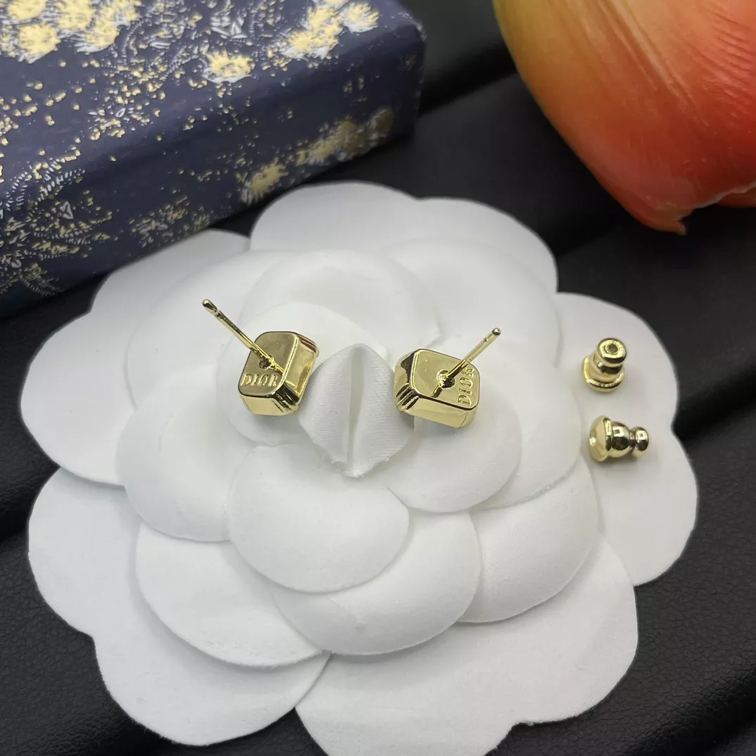 Christian Dior Earrings For Women NewStyle 913