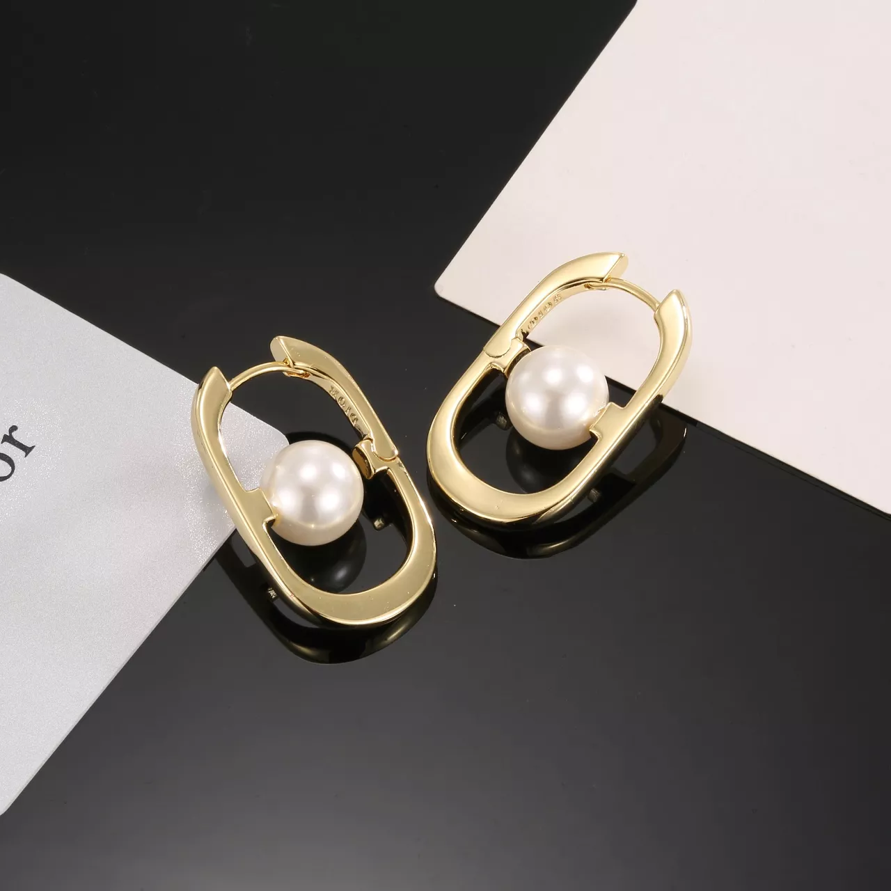 Christian Dior Earrings For Women Resilient 1088