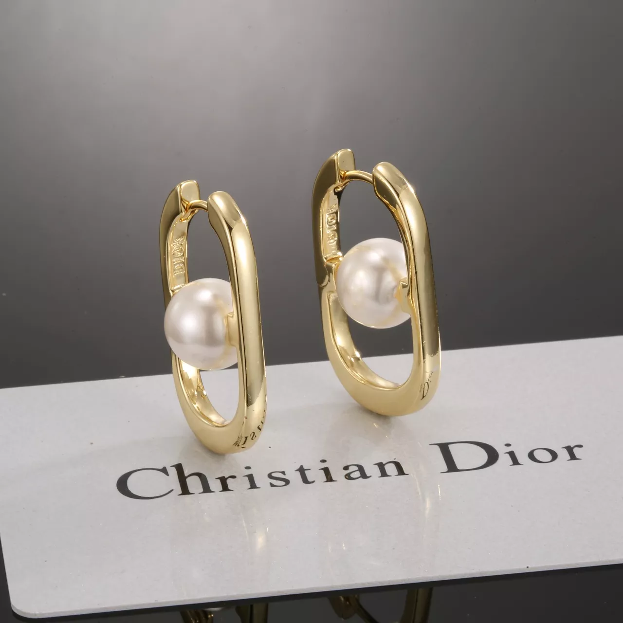 Christian Dior Earrings For Women Resilient 1088