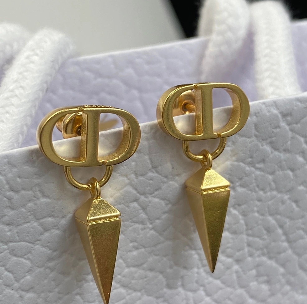 Christian Dior Earrings For Women Resilient 3663