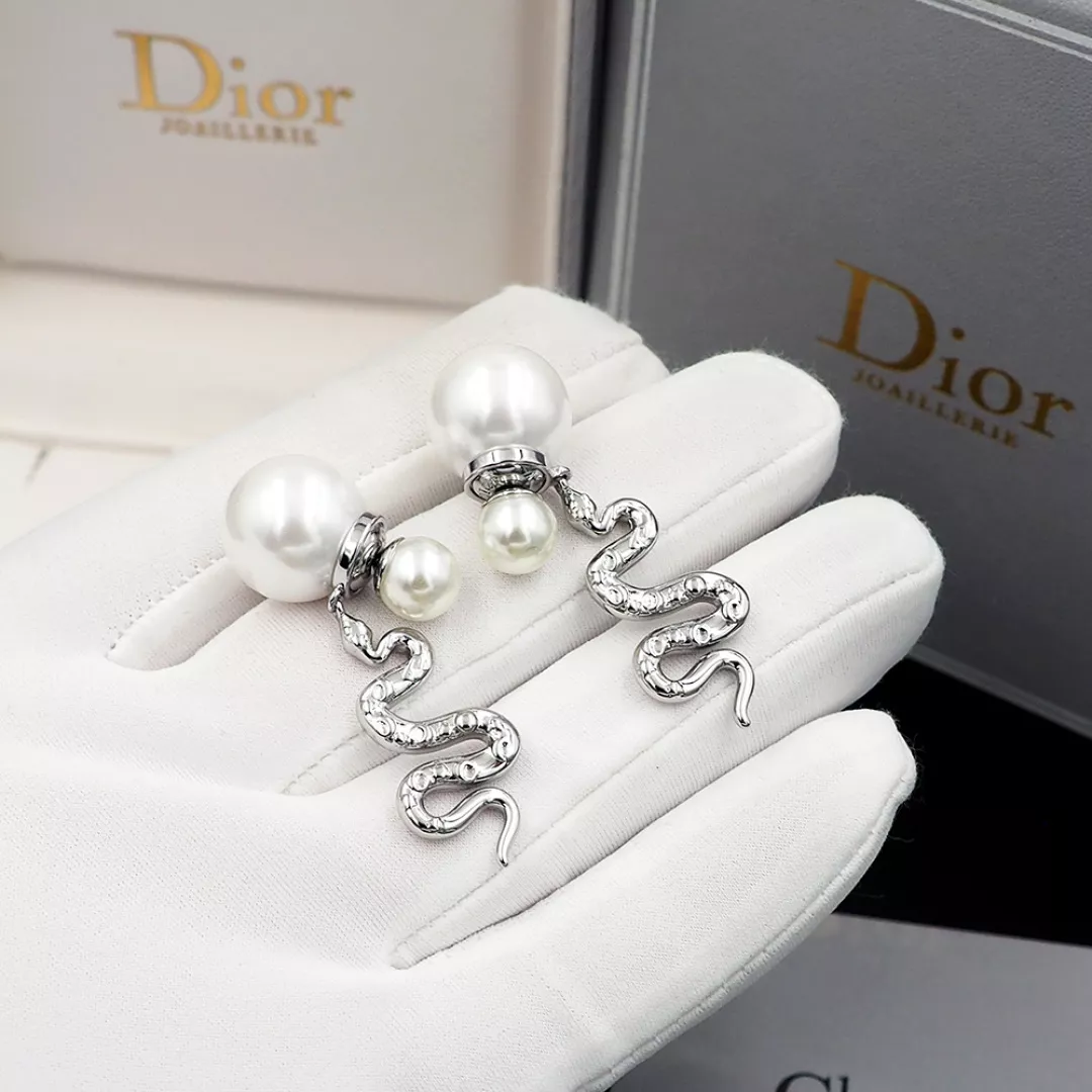 Christian Dior Earrings For Women Sleek 6022