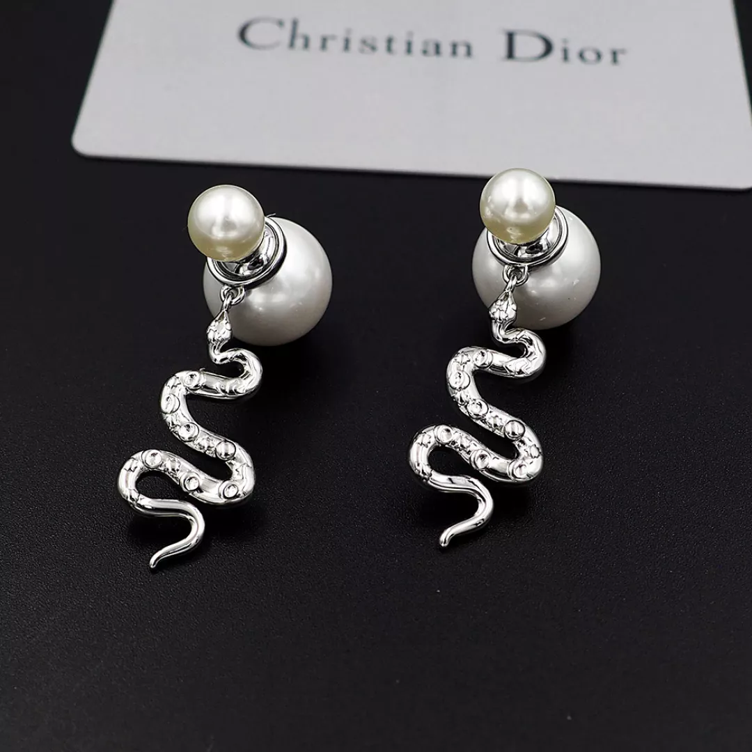 Christian Dior Earrings For Women Sleek 6022