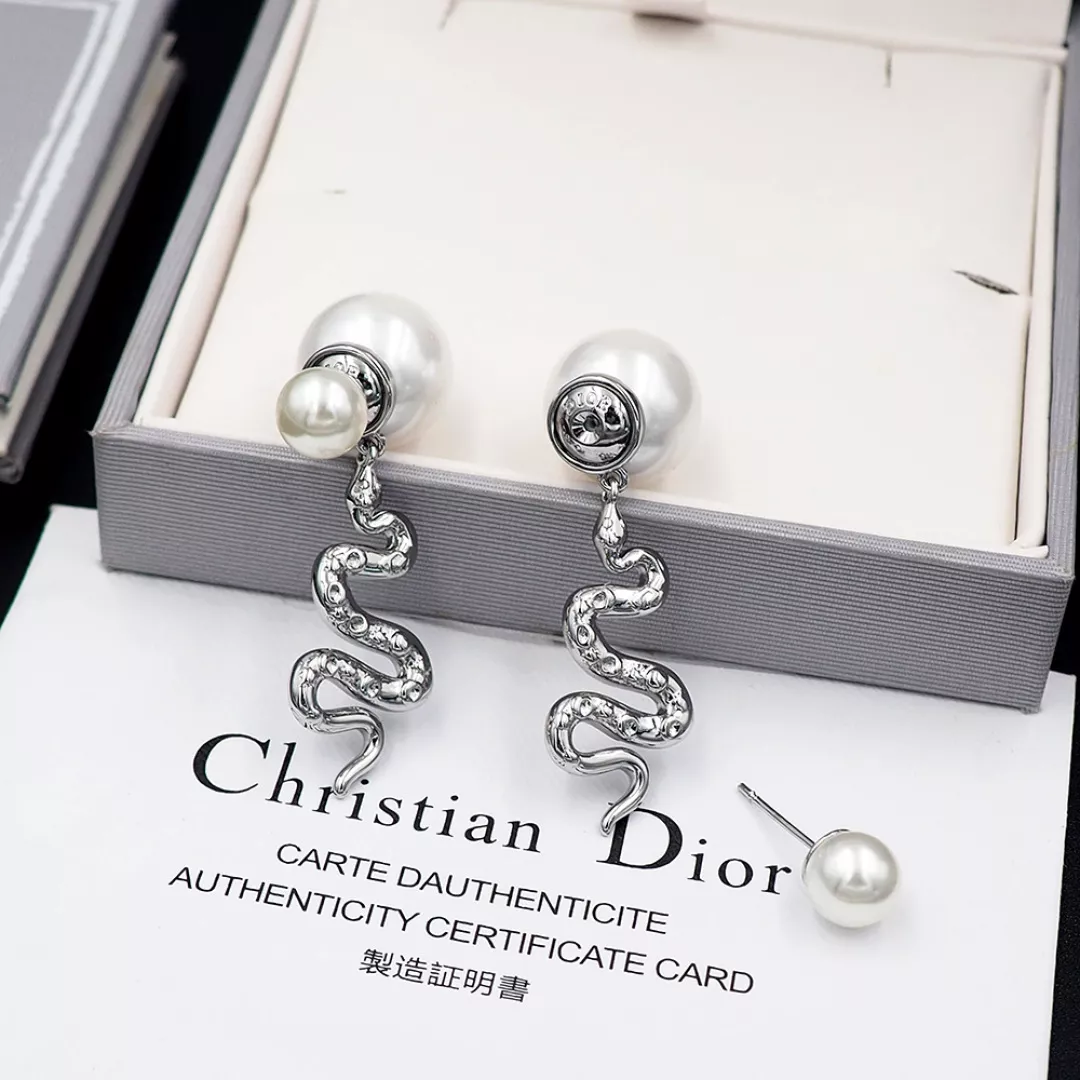 Christian Dior Earrings For Women Sleek 6022