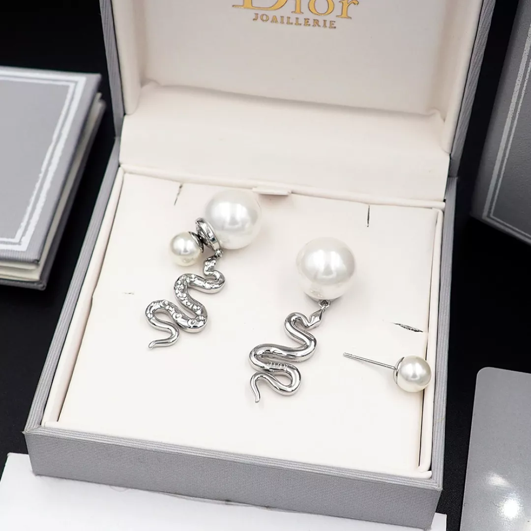 Christian Dior Earrings For Women Sleek 6022