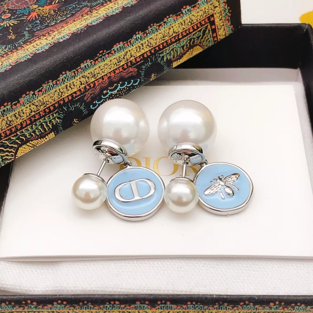 Christian Dior Earrings For Women StreetReady 6248