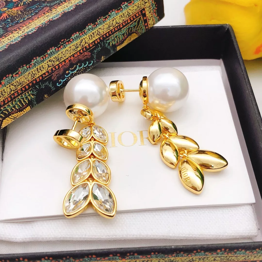 Christian Dior Earrings For Women Trendsetting 6962