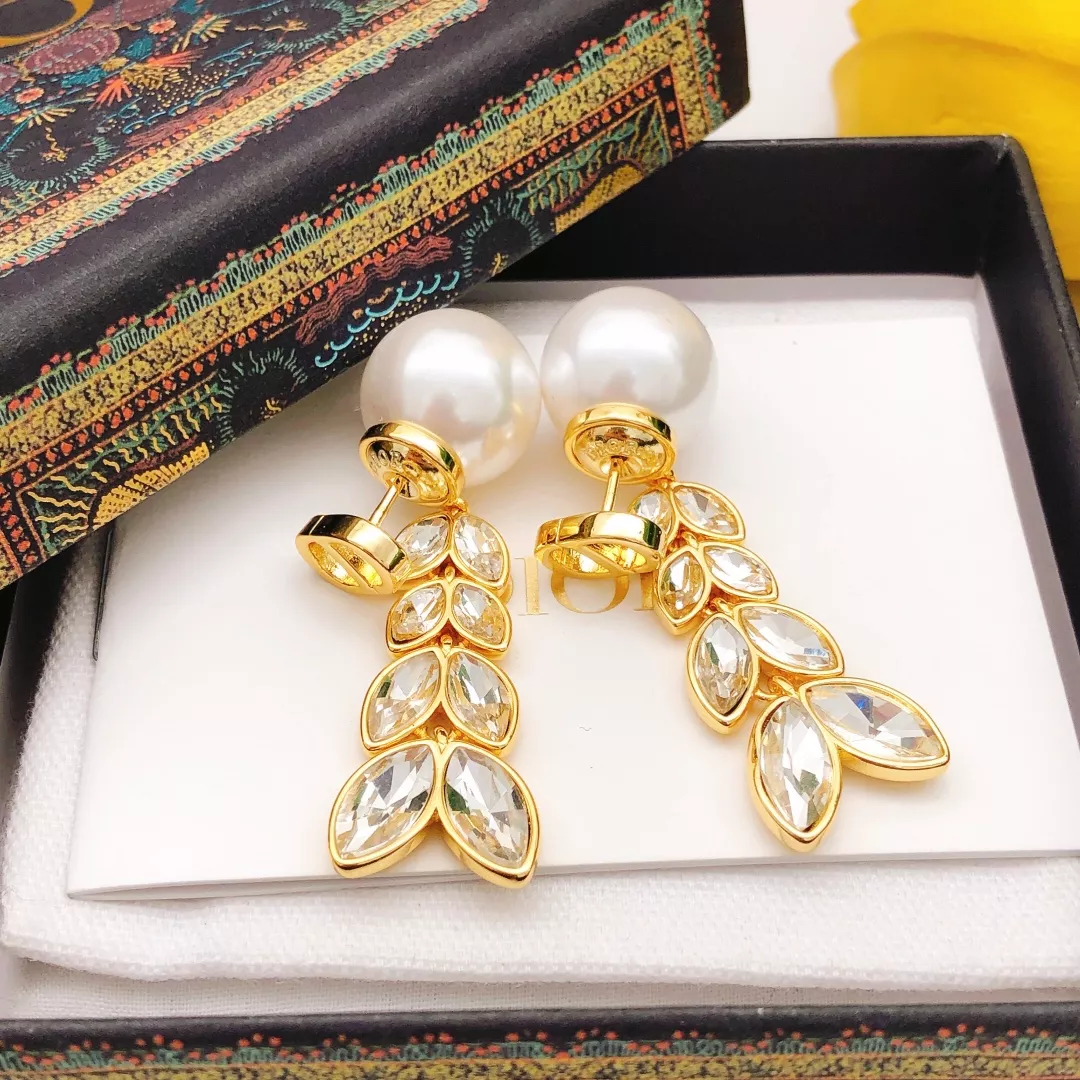 Christian Dior Earrings For Women Trendsetting 6962