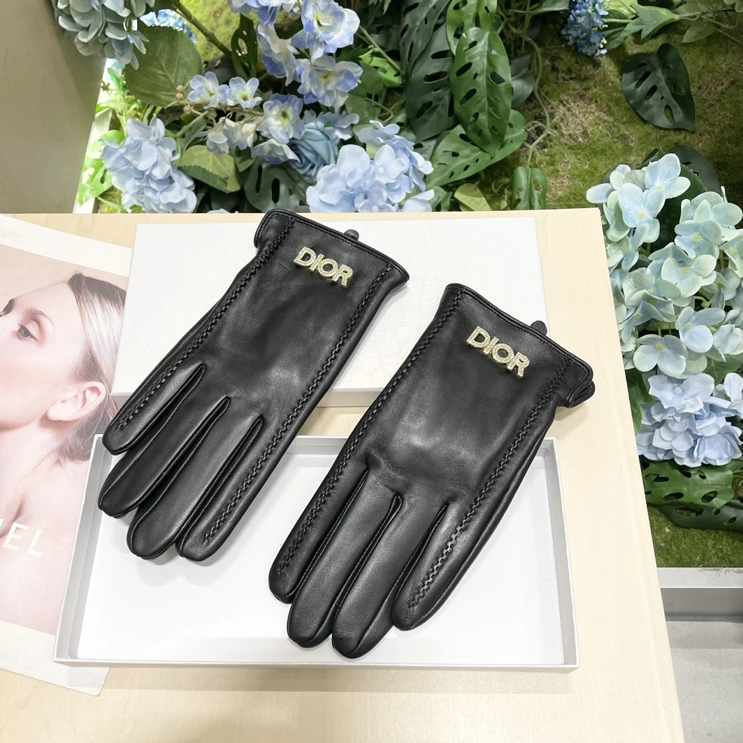 Christian Dior Gloves For Women Affordable 9147