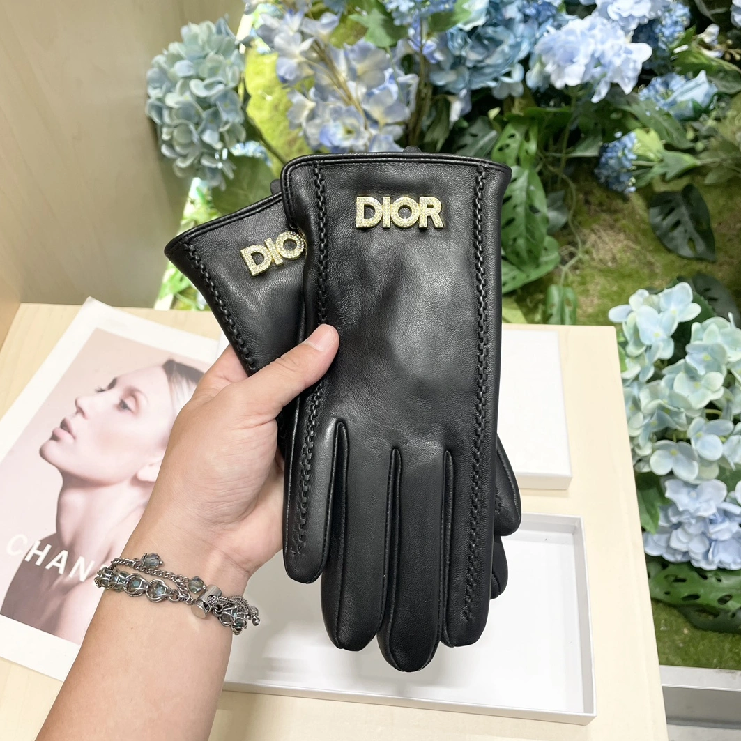 Christian Dior Gloves For Women Affordable 9147