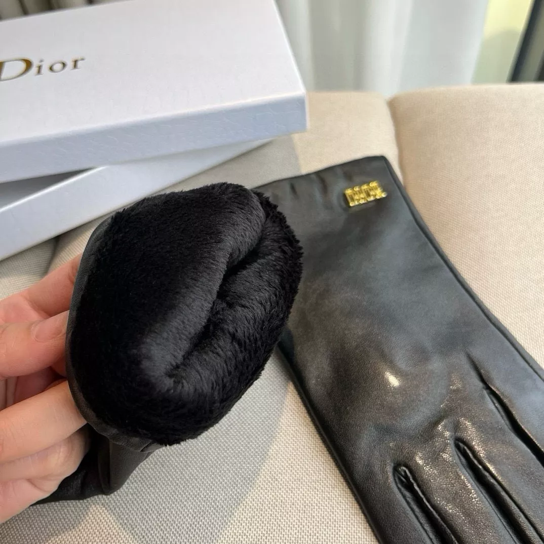 Christian Dior Gloves For Women Bold 2704
