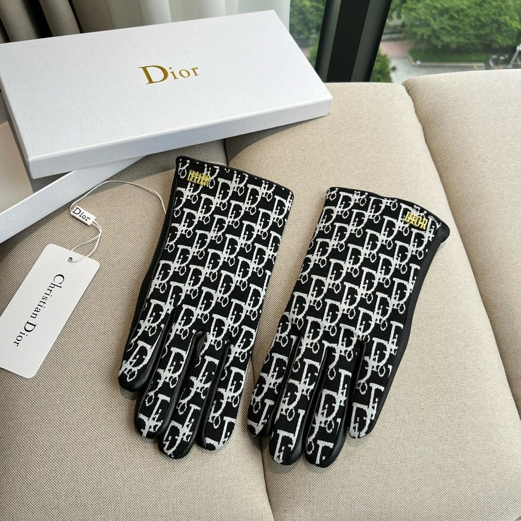 Christian Dior Gloves For Women Comfortable 5953