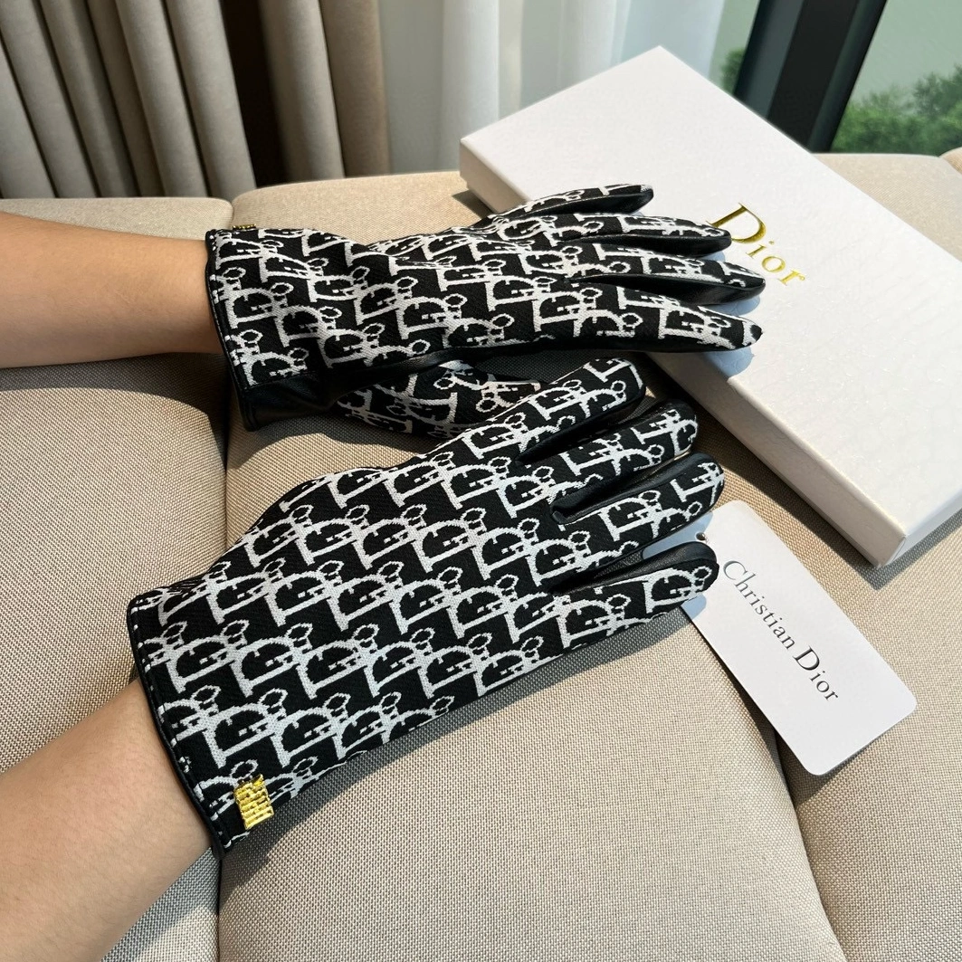 Christian Dior Gloves For Women Comfortable 5953