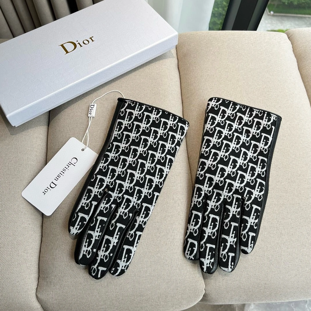 Christian Dior Gloves For Women Refined 9485