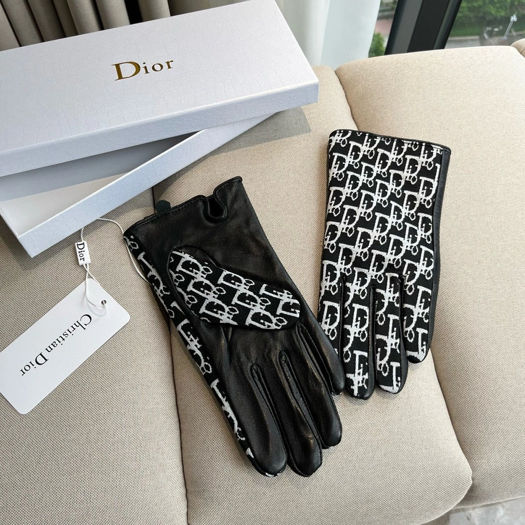 Christian Dior Gloves For Women Refined 9485