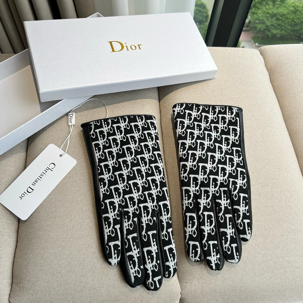Christian Dior Gloves For Women Refined 9485