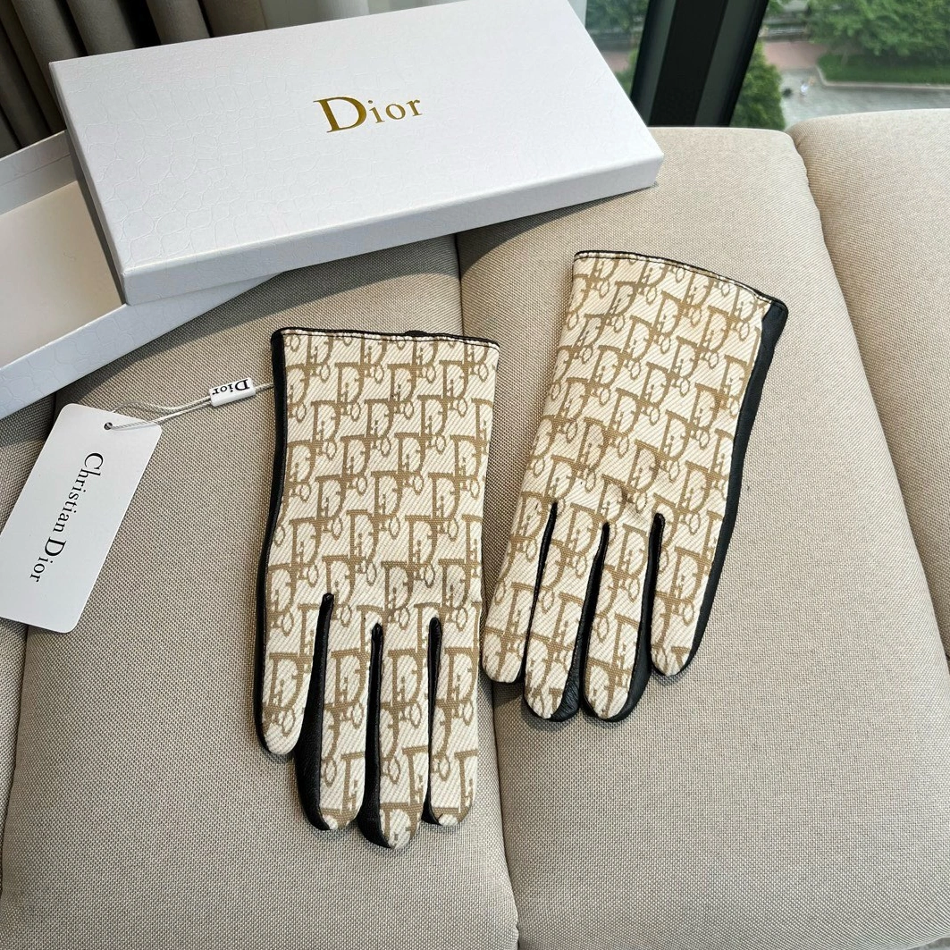 Christian Dior Gloves For Women Trendsetting 8918