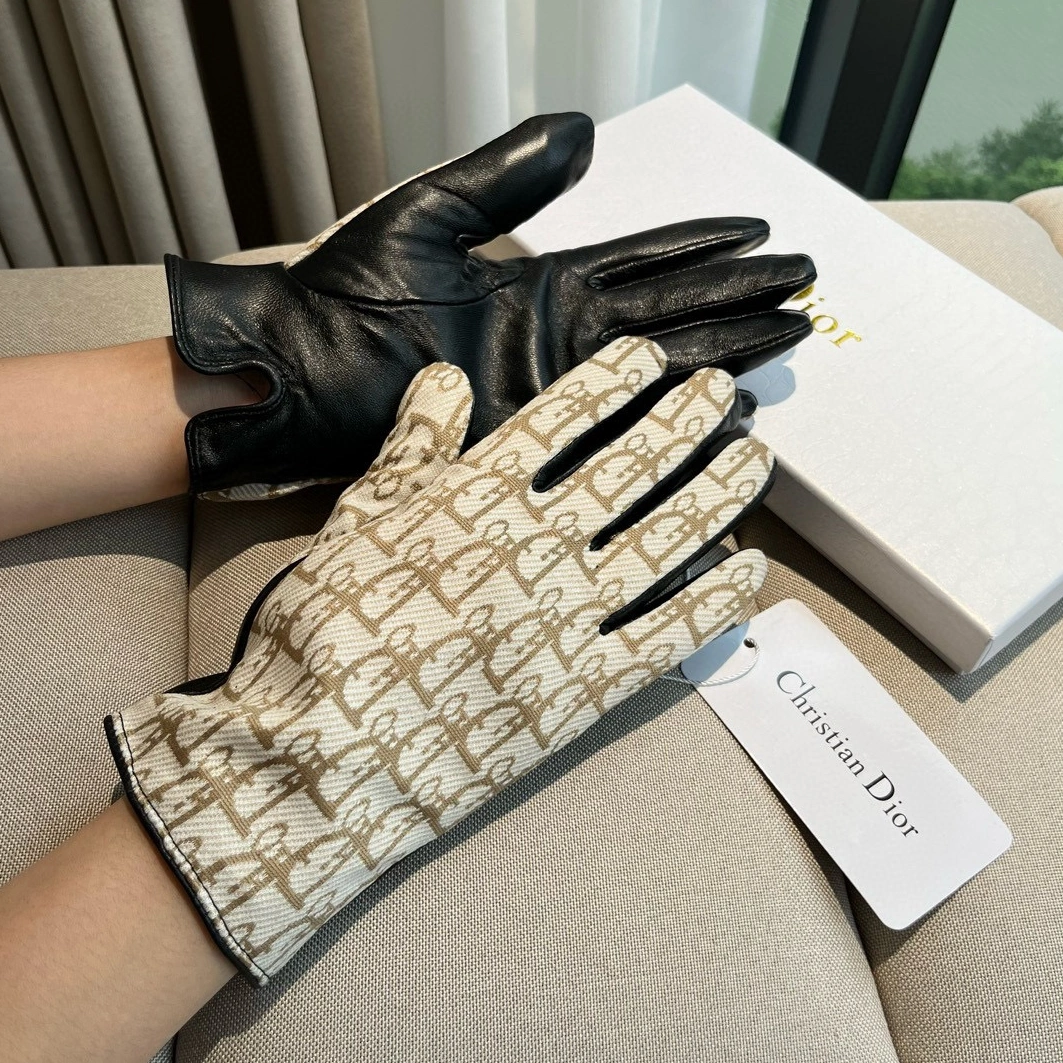 Christian Dior Gloves For Women Trendsetting 8918