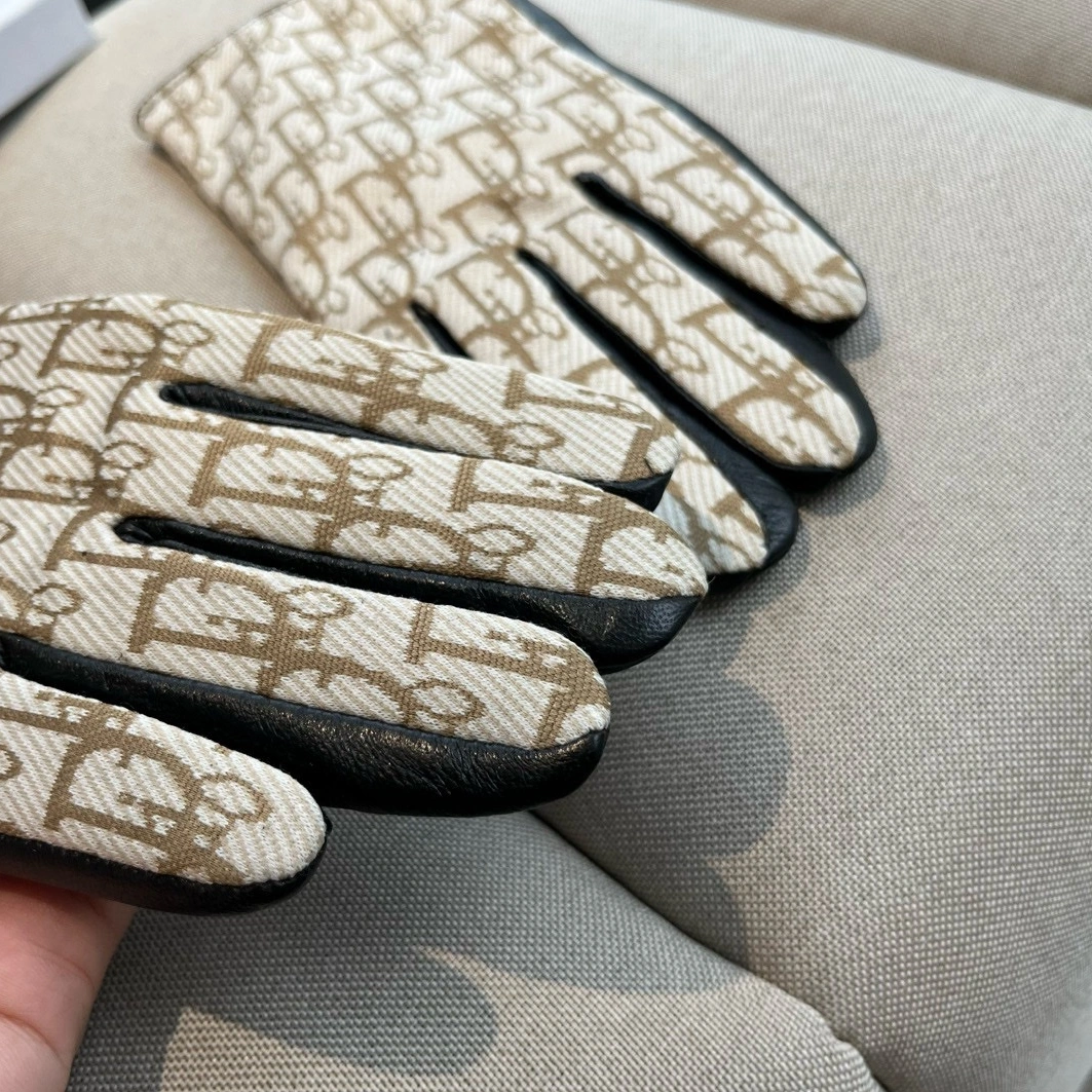 Christian Dior Gloves For Women Trendsetting 8918