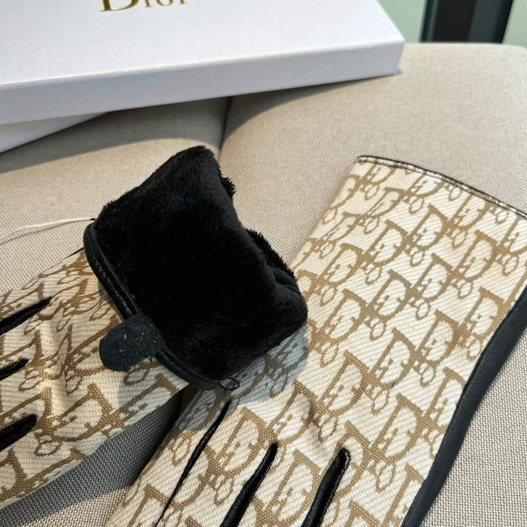 Christian Dior Gloves For Women Trendsetting 8918